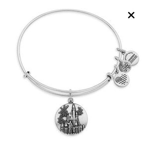 Cinderella Castle “Partners'' Bangle Alex and Ani